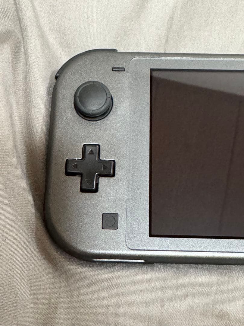 switch lite ディアルガ・パルキア 本体のみ ジャンク