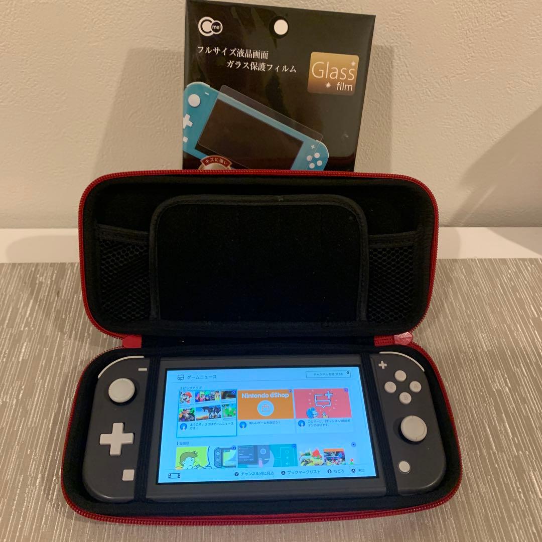 Switchライトグレー　ケース、画面保護シート付