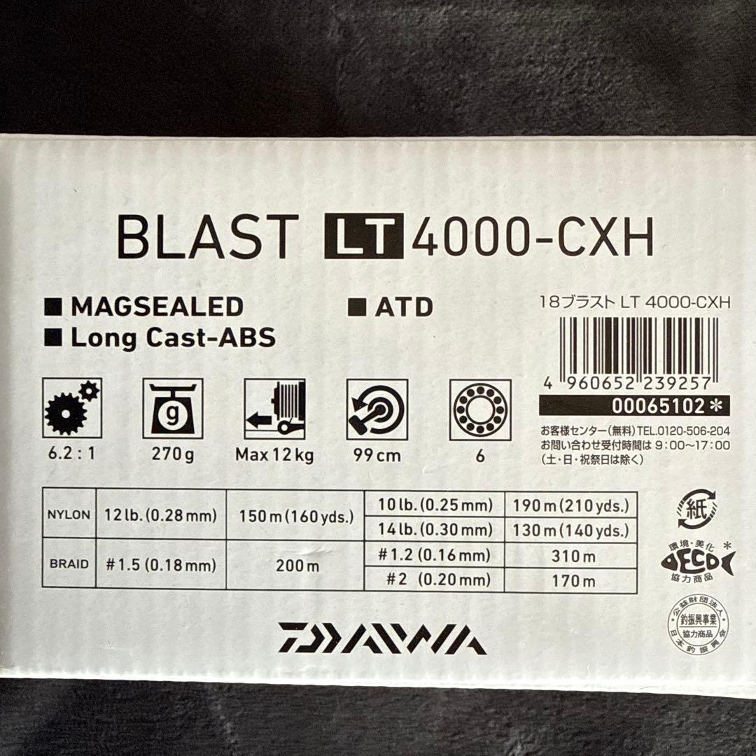 ダイワ 18 ブラスト LT 4000-CXH No829 サワラキャスティング