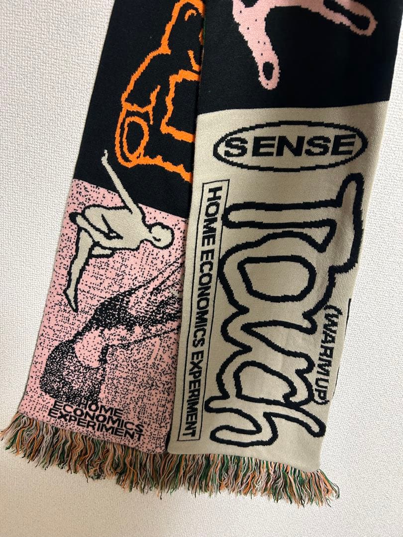  economics experiment マフラー