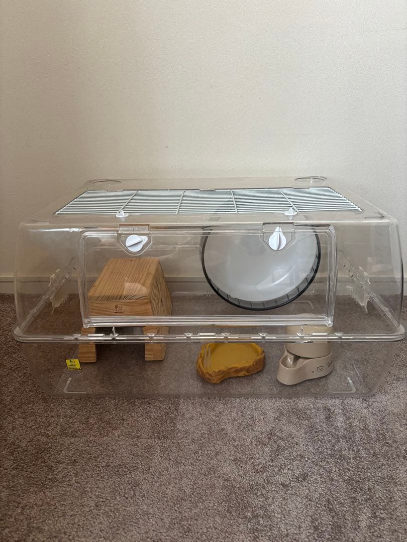 ハリネズミ　飼育セット