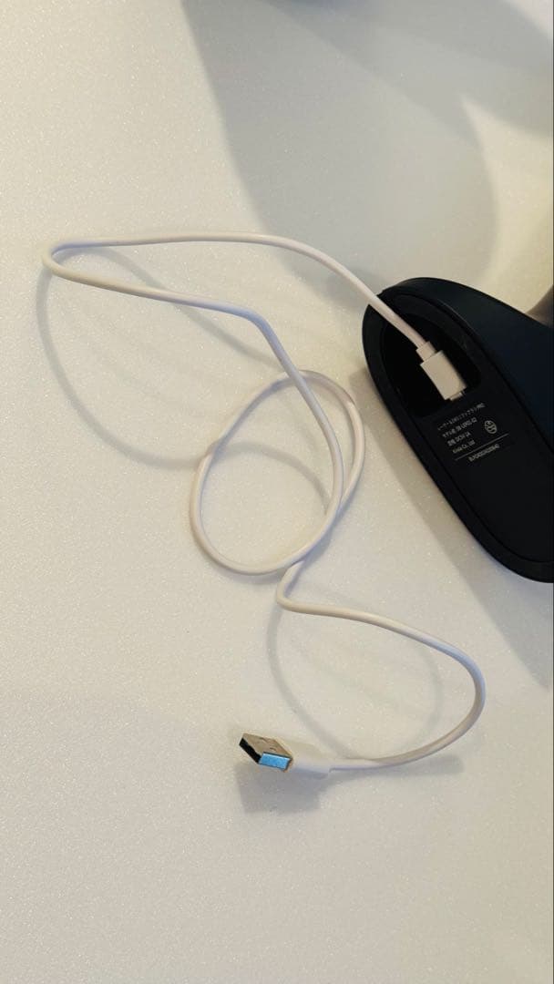 レーザー＆EMSリフトブラシPRO 限定ポーチ付き