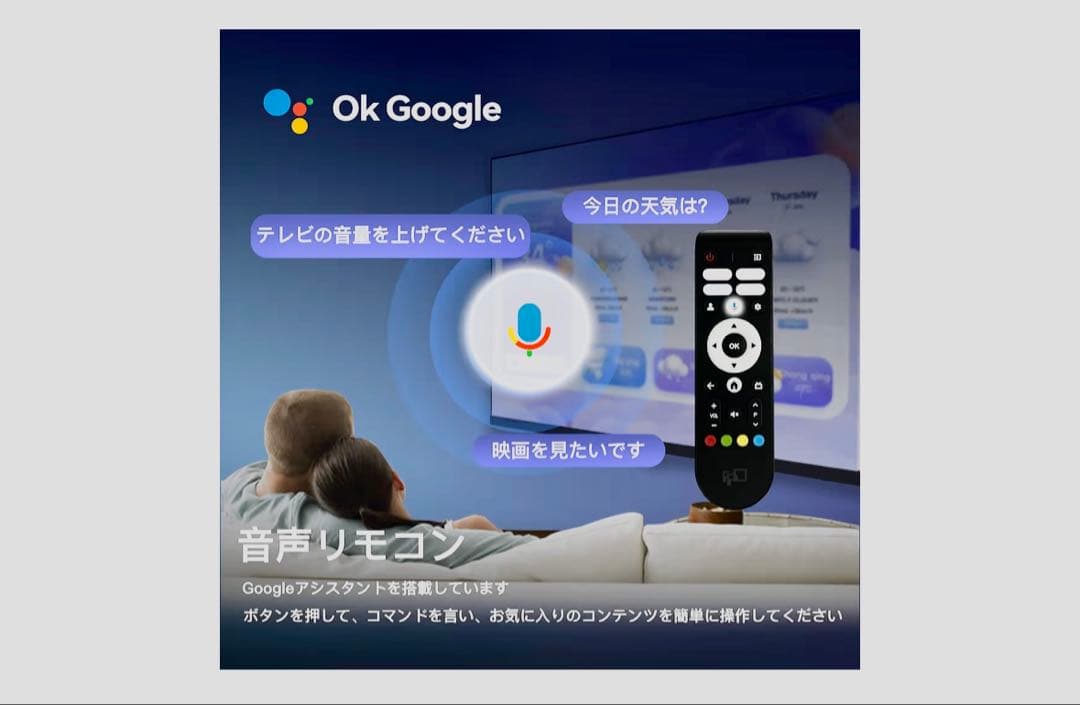 テレビ GoogleTV 32V 720P HD Palette