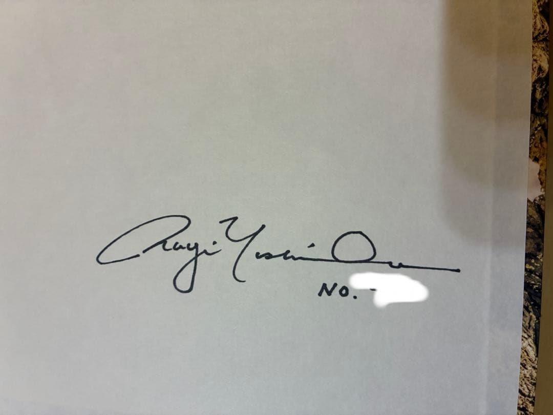 HEROES RELOADED NAGIYOSHIDA サイン入り(ヨシダナギ)