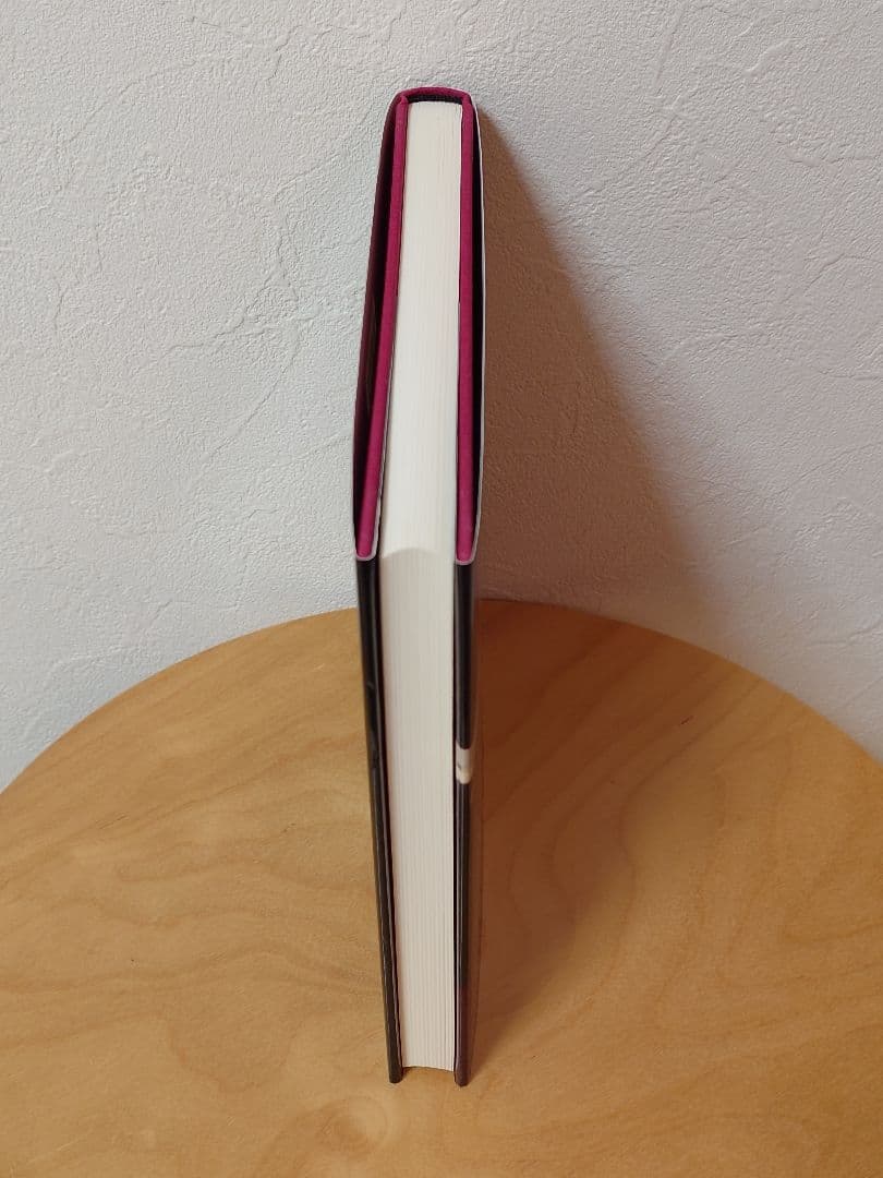 SAUL LEITER Early Color 英語版