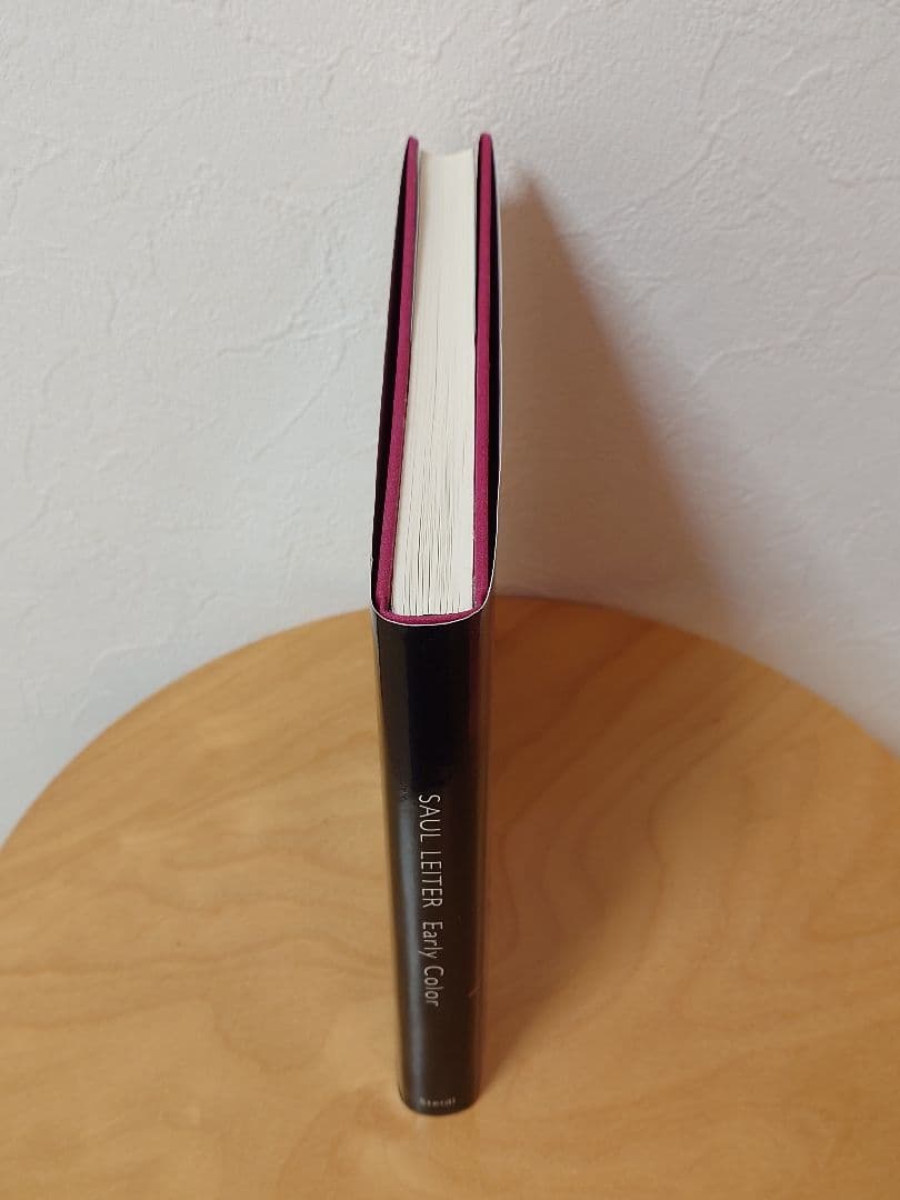 SAUL LEITER Early Color 英語版