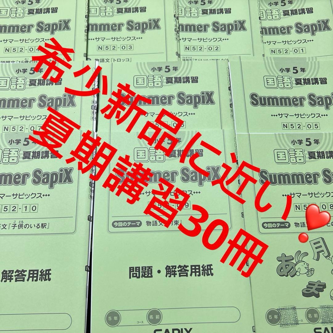 ㉒AC 新品　サピックス　SAPIX 5年　国語　夏期講習　サマーサピックス