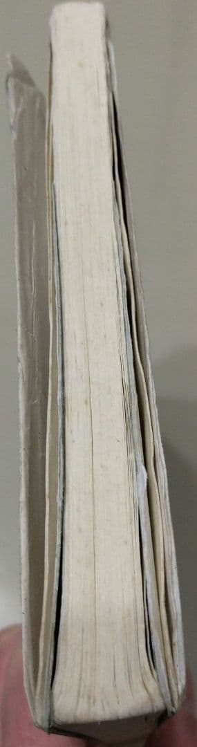 臨床カイロプラクティック　哲学・科学・芸術