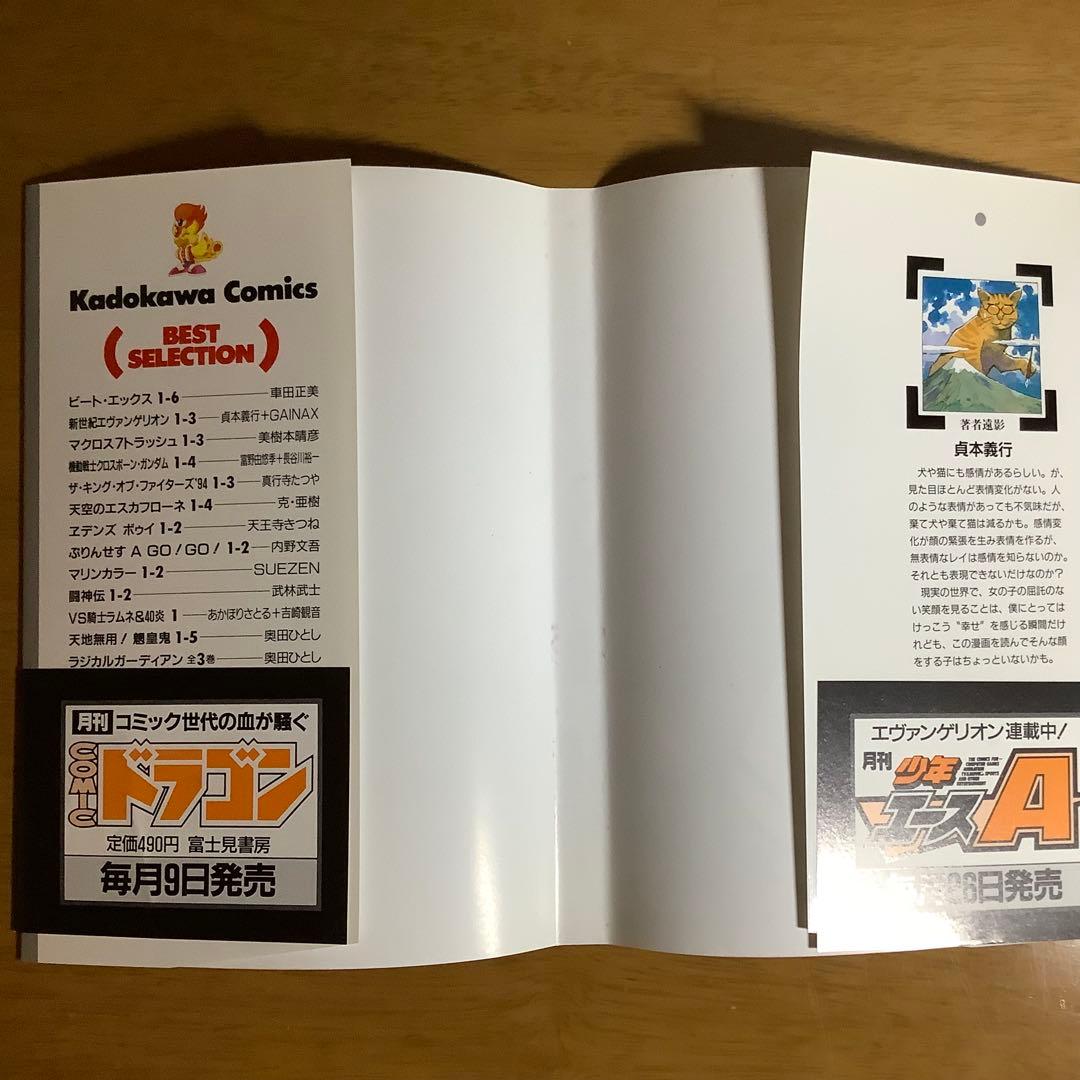 全巻初版 新世紀エヴァンゲリオン 1-3巻 貞本義行