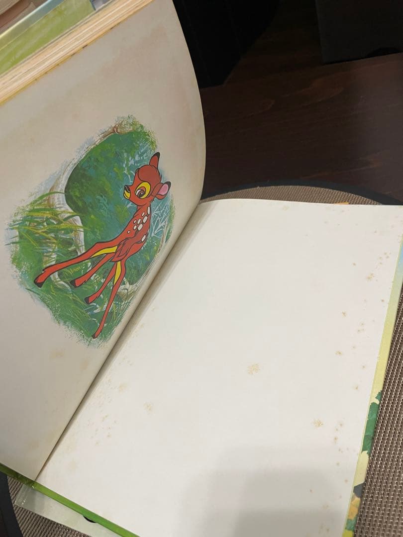 希少1978年　Walt Disney’s Story