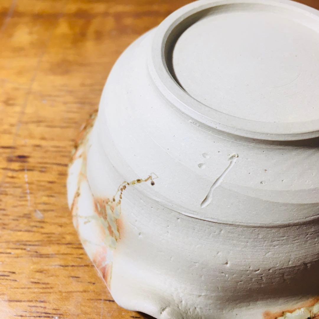 【新品未使用品】常滑焼 　谷川仁　白泥藻掛　煎茶器揃　茶托付き　共箱なし