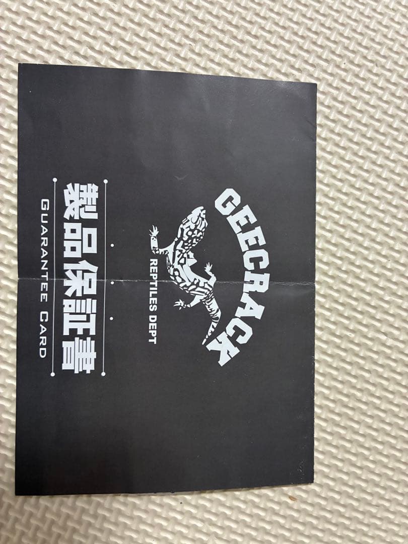 ジークラック　泥棒竿　スパイダー　DORO-B603L イカメタル