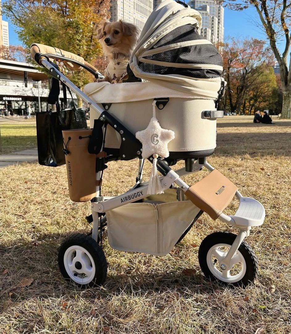 AIRBUGGY 12点セット！