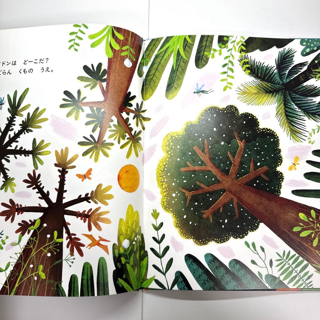 【2点購入150円引】キンダーブック しぜん どくのあるいきもの2024年8月号