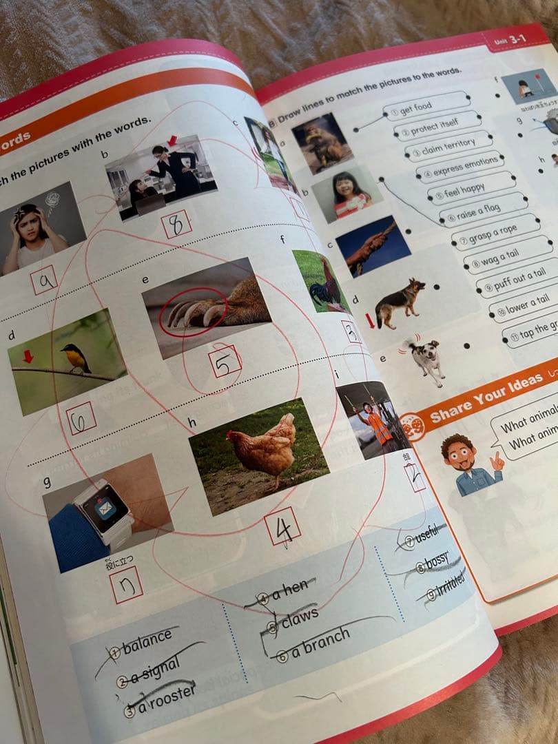 ECCジュニア教材　(未使用多数)