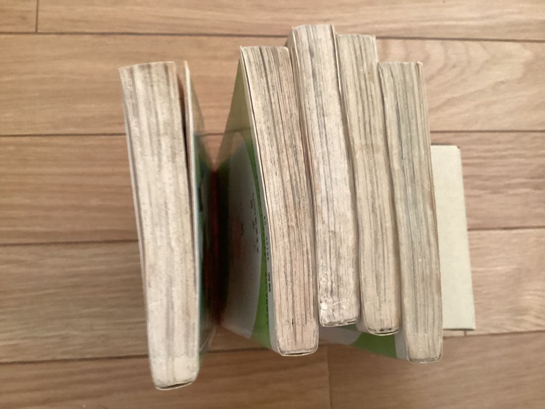 聖鈴子/名探偵江戸川乱子 全5巻セット