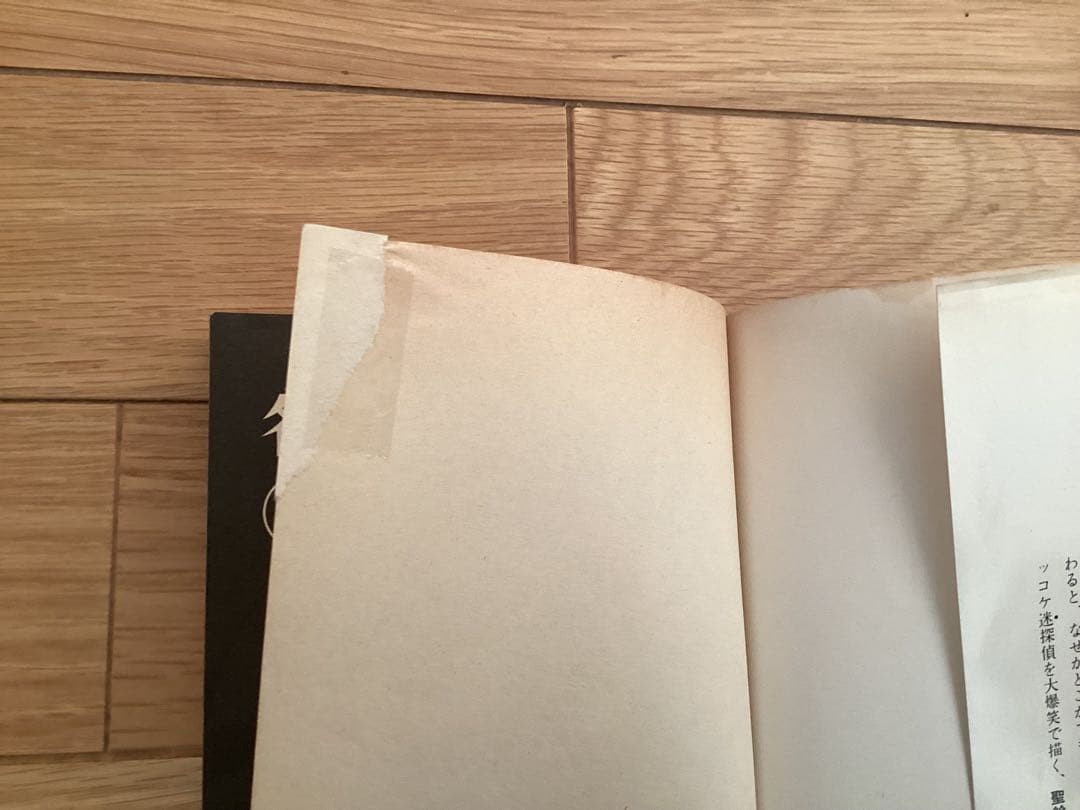 聖鈴子/名探偵江戸川乱子 全5巻セット