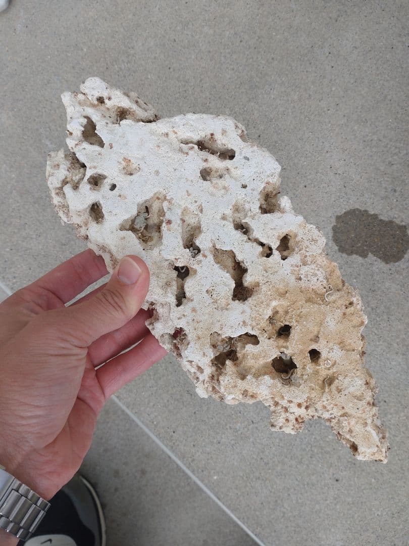 オーバーフロー水槽　120