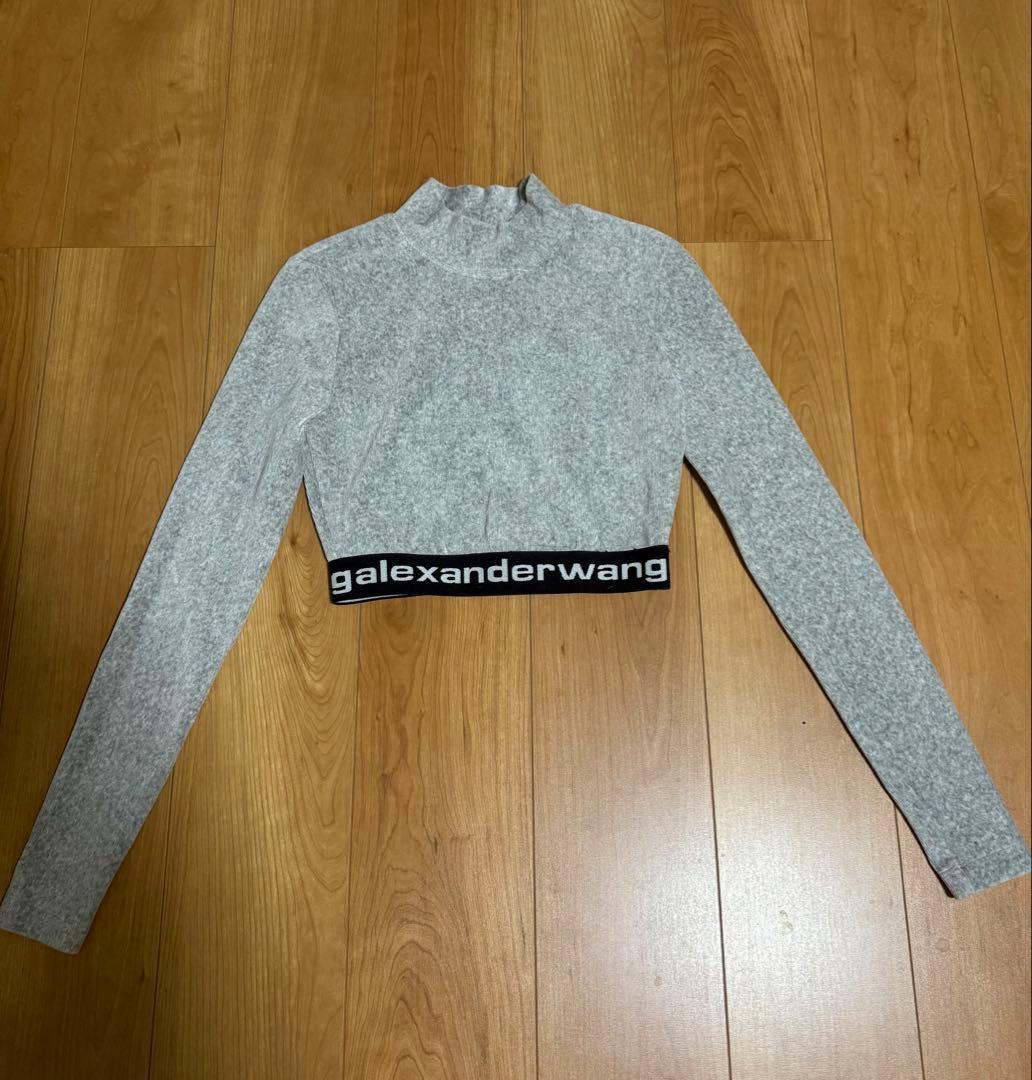 (xs)alexander wangグレー クロップドトップス