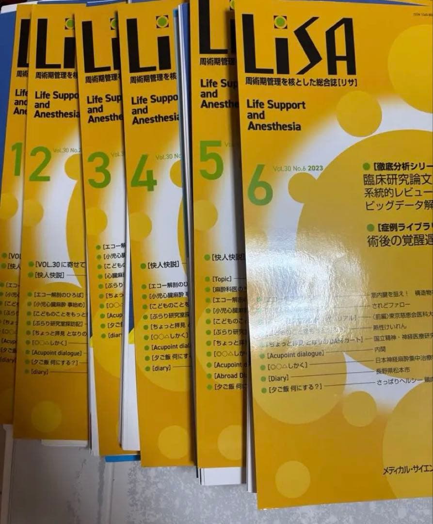 【裁断済】Lisa 2023年12冊