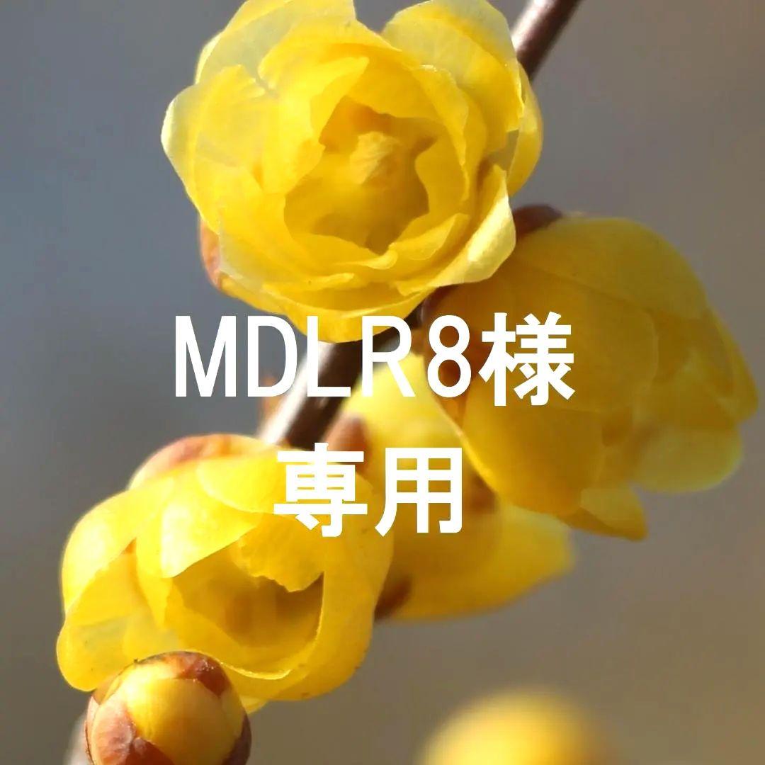 ネックレス5点とイヤリング5点