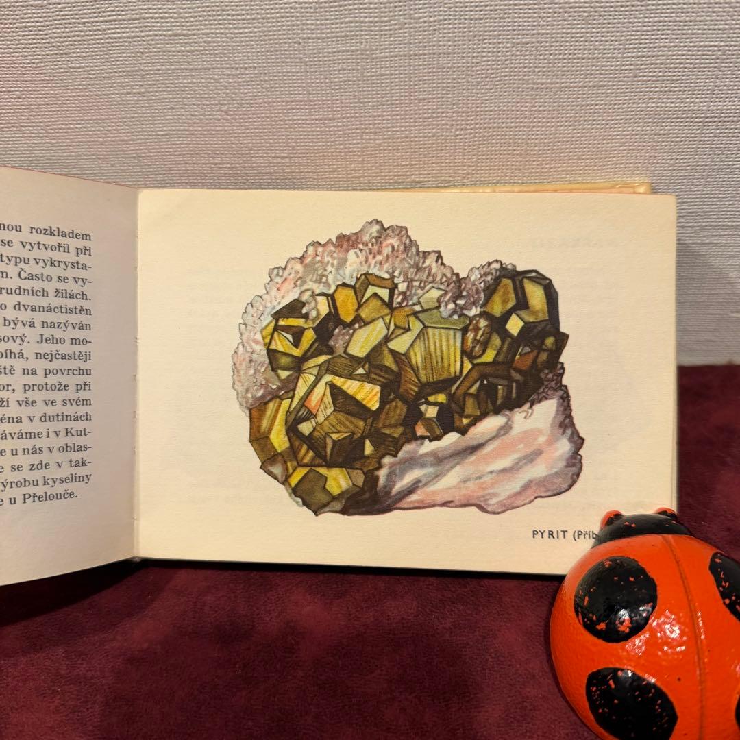 113④チェコビンテージ鉱石図鑑2冊セット　ジャンクジャーナル　ボタンニカル