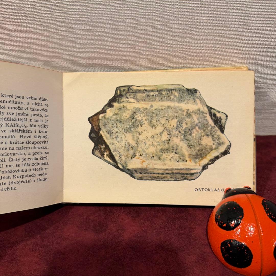 113④チェコビンテージ鉱石図鑑2冊セット　ジャンクジャーナル　ボタンニカル