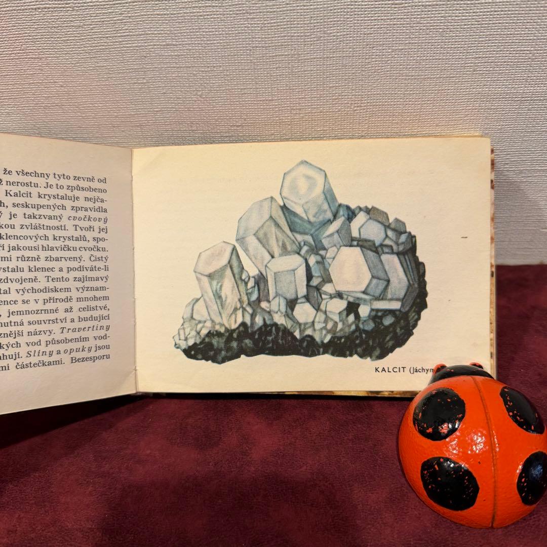113④チェコビンテージ鉱石図鑑2冊セット　ジャンクジャーナル　ボタンニカル