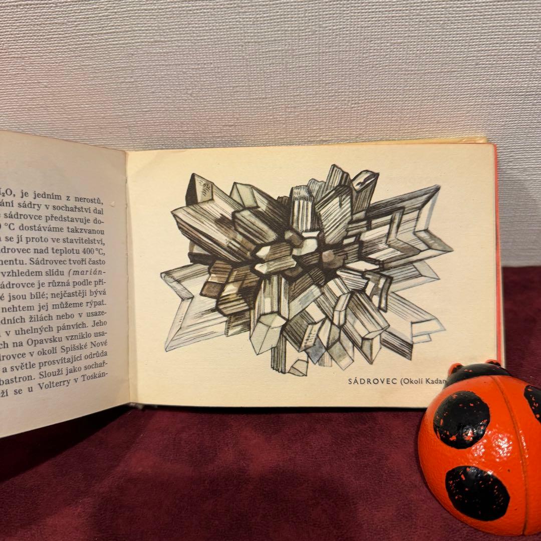 113④チェコビンテージ鉱石図鑑2冊セット　ジャンクジャーナル　ボタンニカル