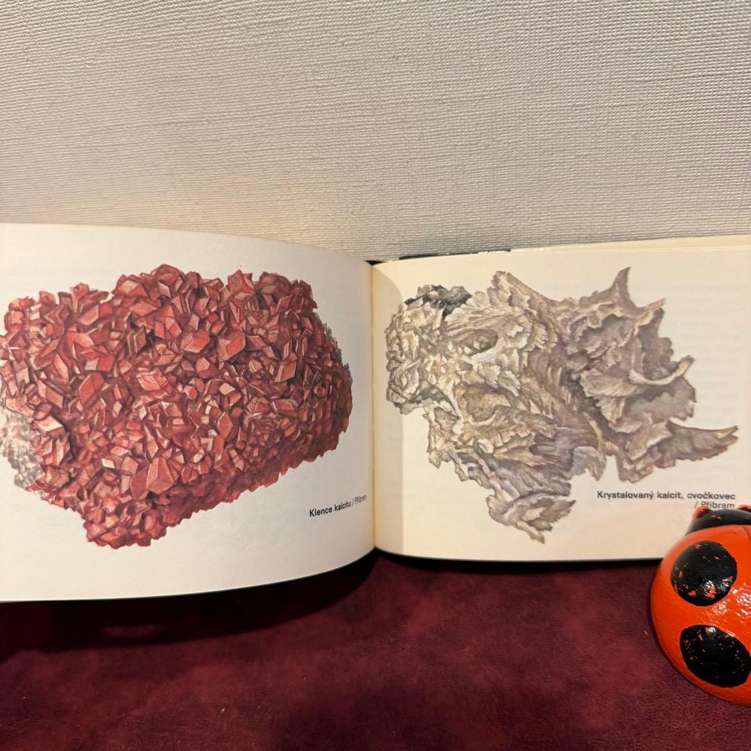 113④チェコビンテージ鉱石図鑑2冊セット　ジャンクジャーナル　ボタンニカル