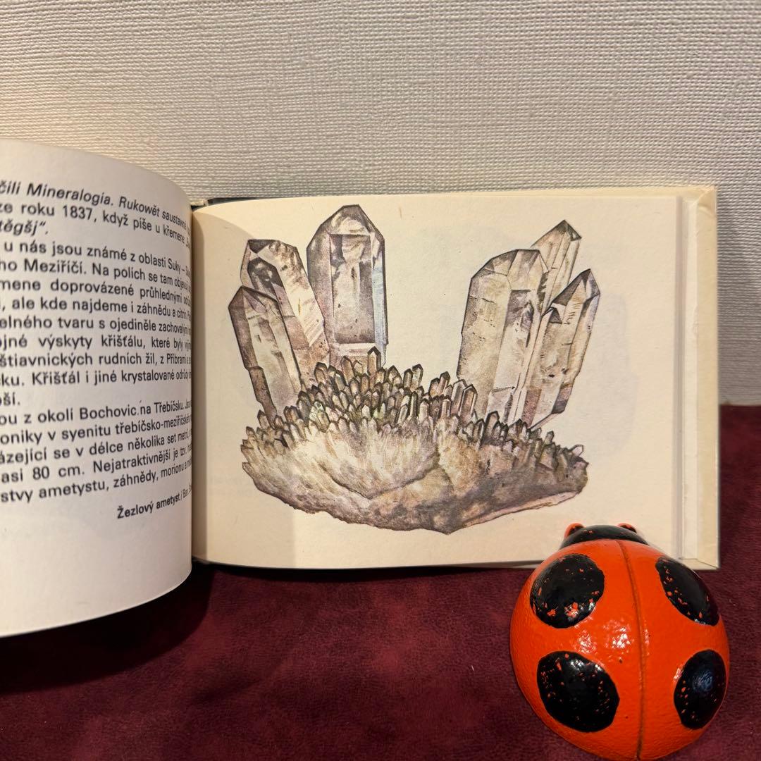 113④チェコビンテージ鉱石図鑑2冊セット　ジャンクジャーナル　ボタンニカル