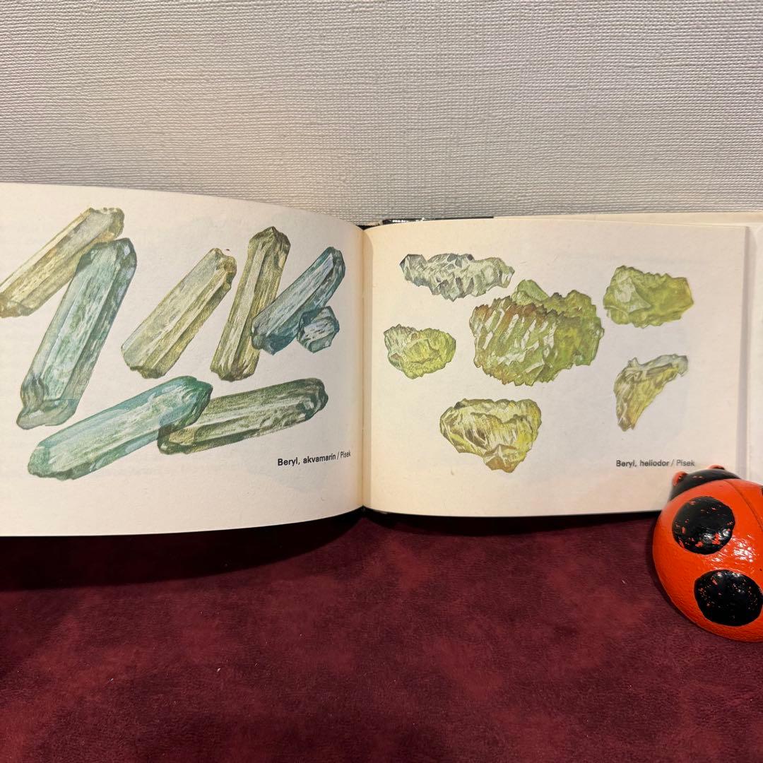 113④チェコビンテージ鉱石図鑑2冊セット　ジャンクジャーナル　ボタンニカル