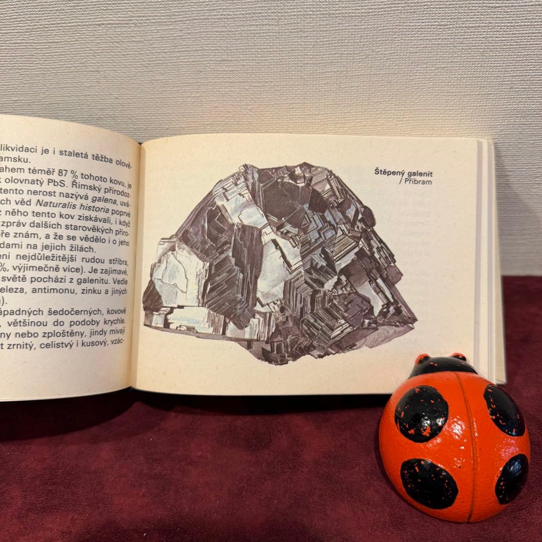 113④チェコビンテージ鉱石図鑑2冊セット　ジャンクジャーナル　ボタンニカル
