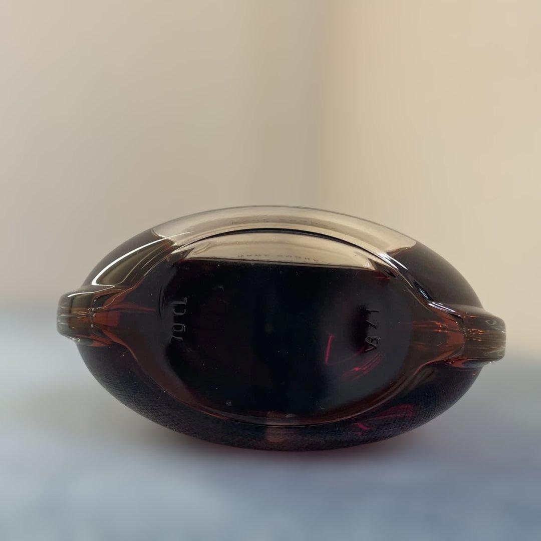 カブトムシ　PARADIS ヘネシーパラディ