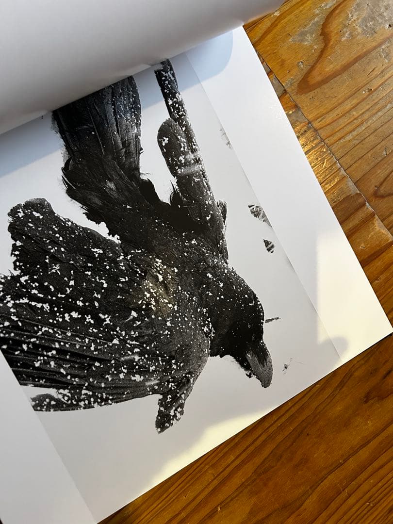 鴉　RAVENS 深瀬昌久