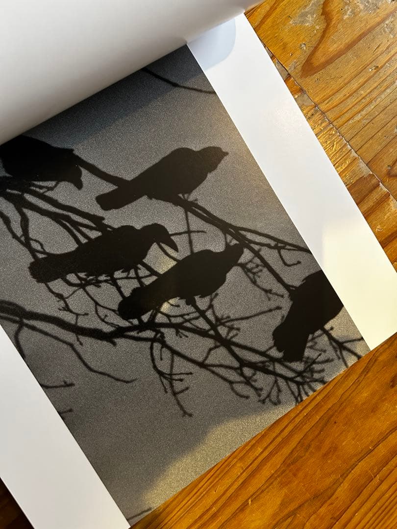 鴉　RAVENS 深瀬昌久