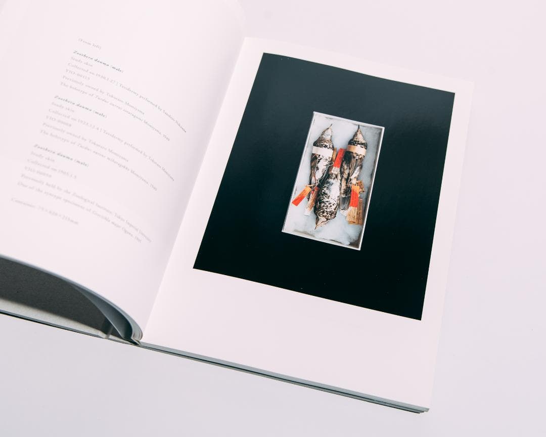 上田義彦　BIOSOPHIA of BIRDS　鳥のビオソフィア