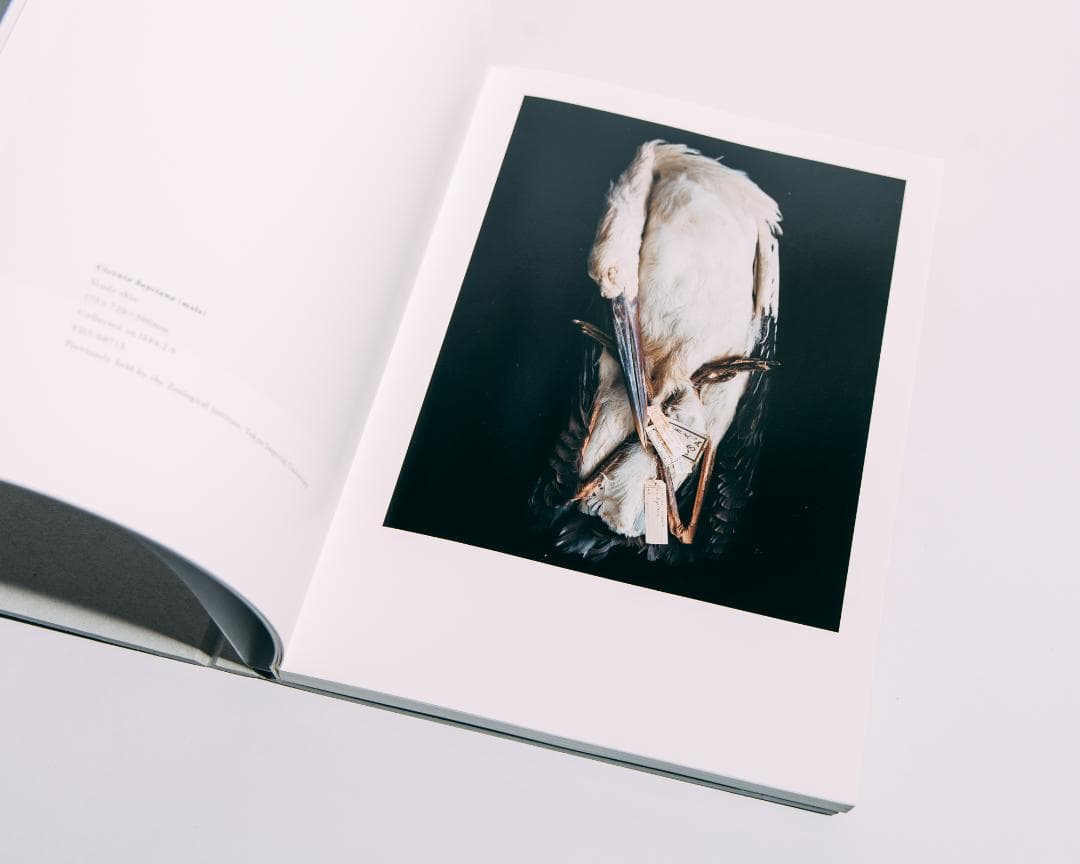 上田義彦　BIOSOPHIA of BIRDS　鳥のビオソフィア