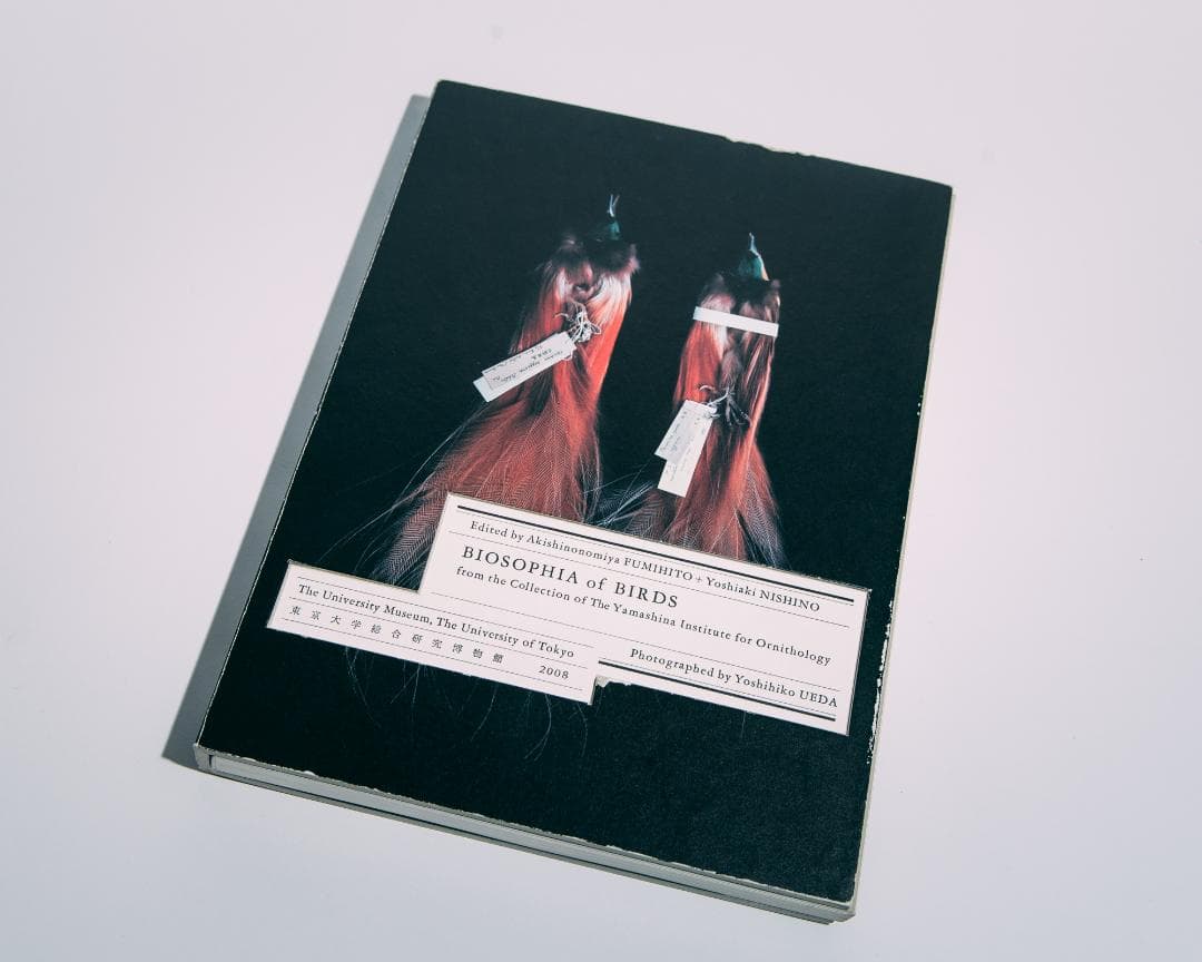 上田義彦　BIOSOPHIA of BIRDS　鳥のビオソフィア