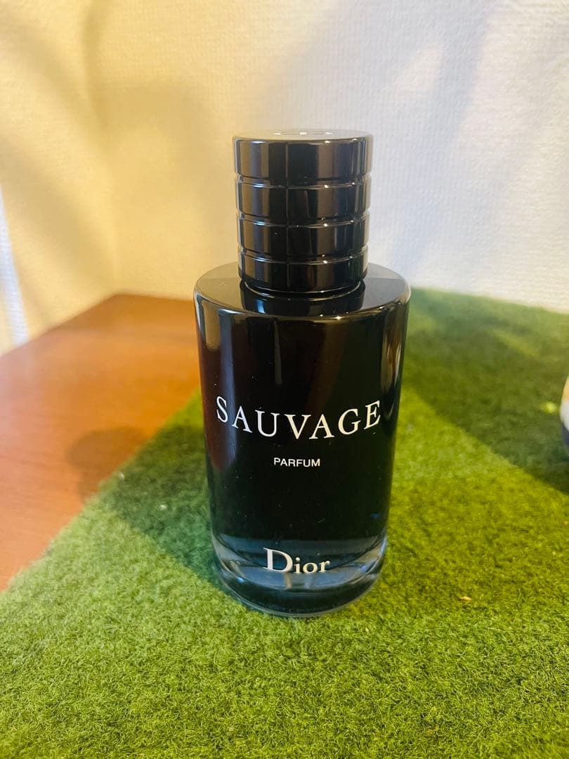 クリスチャン ディオール ソヴァージュ P 100 ml 香水