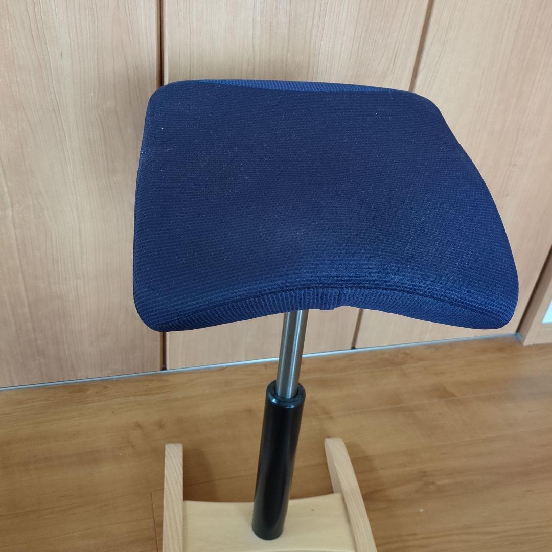 Balans Synergy バランスシナジー　スクエアシート　専用カバー付腰痛