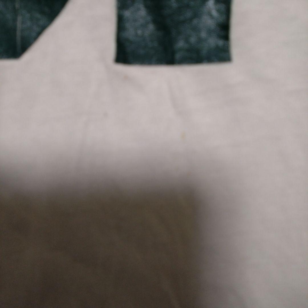 チャンピオン　トリコタグ　ビンテージ　ティシャツ