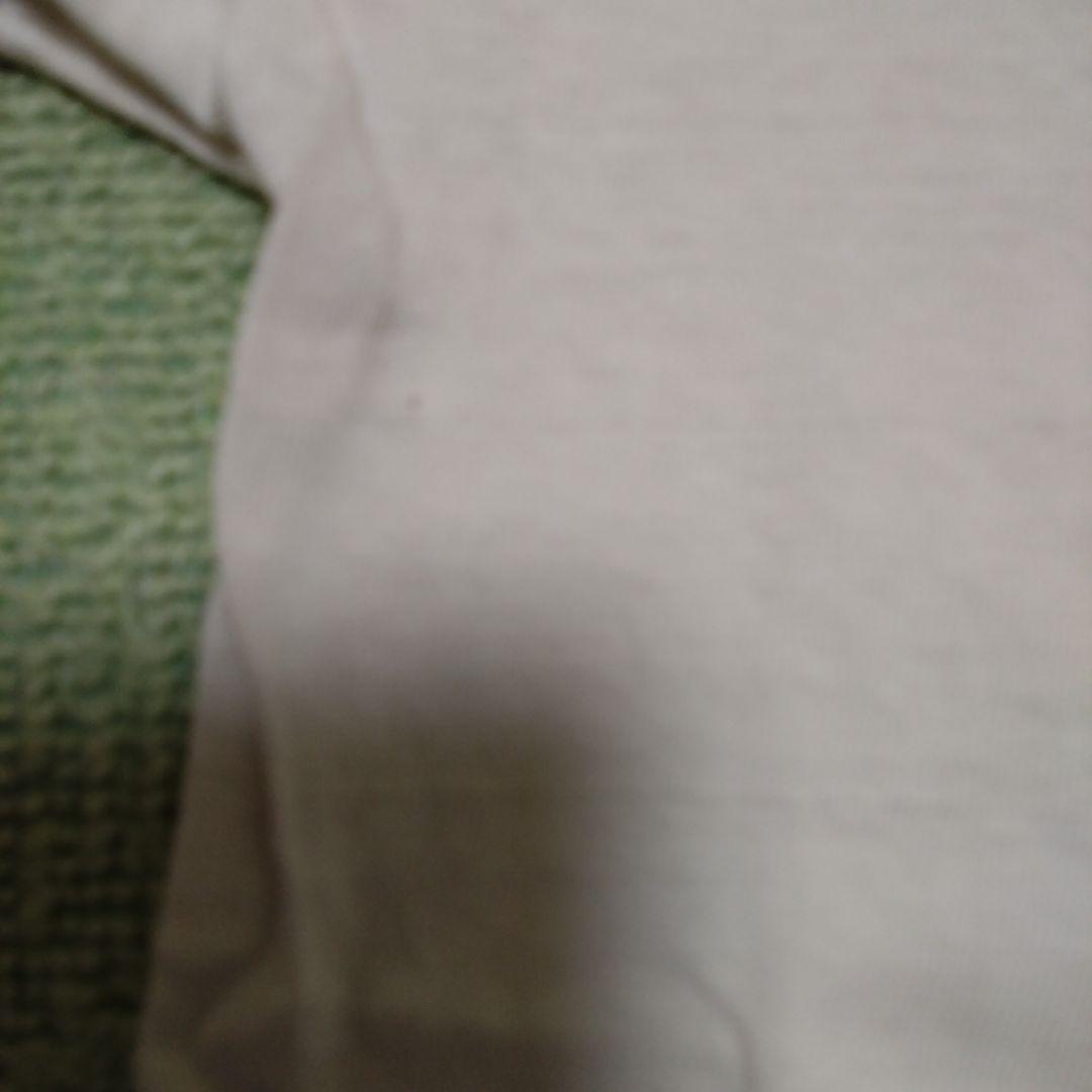 チャンピオン　トリコタグ　ビンテージ　ティシャツ