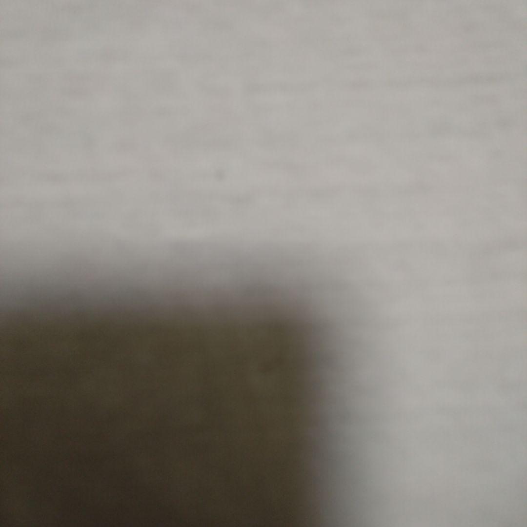 チャンピオン　トリコタグ　ビンテージ　ティシャツ