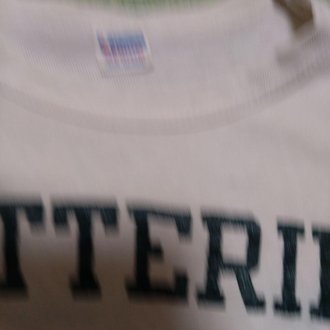 チャンピオン　トリコタグ　ビンテージ　ティシャツ