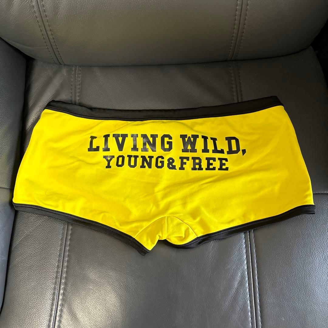 男子用水着　アリーナ２枚セット LとOサイズ