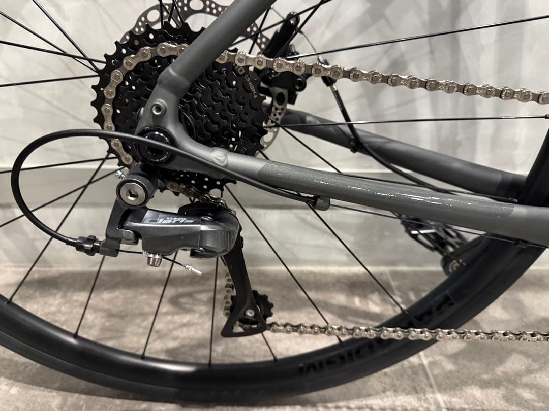 TREK Domane AL2 Gen4 2025年