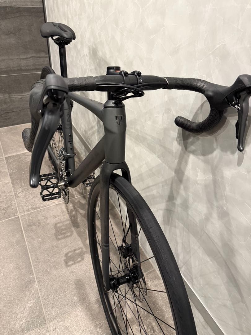 TREK Domane AL2 Gen4 2025年