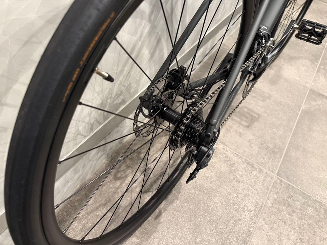 TREK Domane AL2 Gen4 2025年