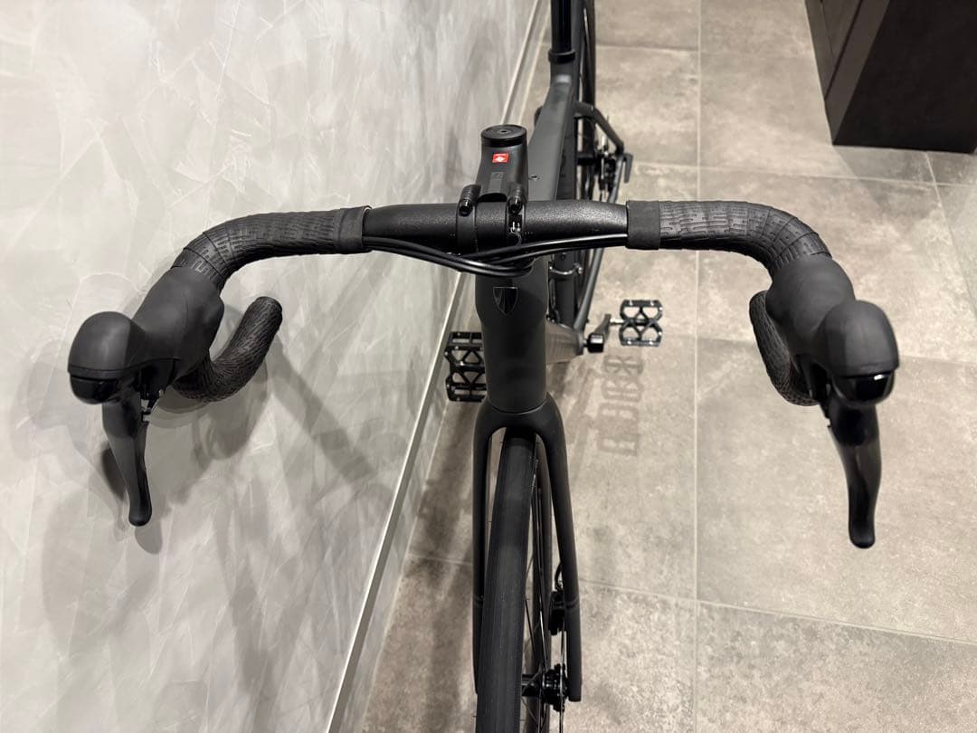 TREK Domane AL2 Gen4 2025年